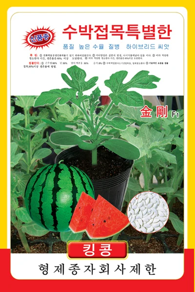 Китайский подвой для арбуза. Подвой для арбузов и дынь. Предшественники арбузов и дынь в открытом грунте. Подвой для арбузов и дынь. Китайский подвой для арбуза.