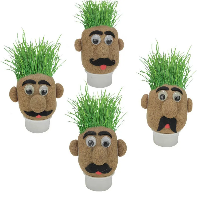 

popular with child mini plant kit grass head doll of diy plant kit