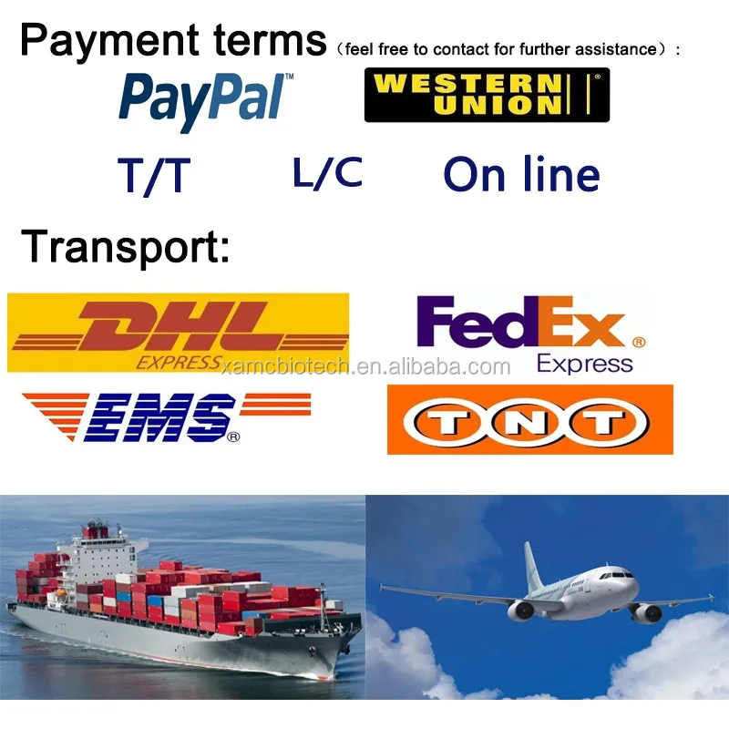 
Hot competitive price weigh loss 541-15-1 L Carnitine 