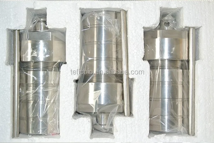 hydrothermal tube.jpg
