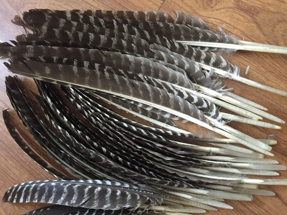 Conical & Striped Real Turkey Feathers/arrow Vanes For Traditional