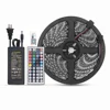 16.4ft 5M300leds 5050 WiFi wireless smart phone controlled Android iOS Alexa waterproof RGB strip lights LED rope light