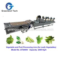 fruit vegetable processing machine