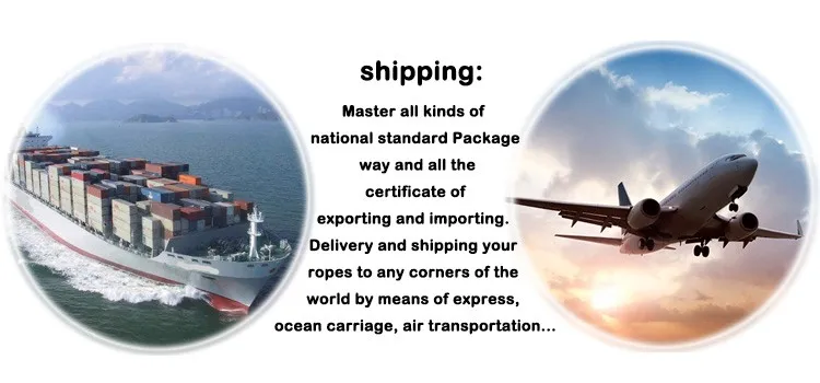 HTB1ZGzJKVXXXXajaXXXq6xXFXXX6