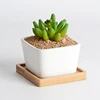 New best selling wholesale square white ceramic mini succulent plant pot customized