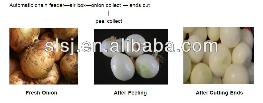 Flow chart of onion peeling machine|automatic onion peelerjpg