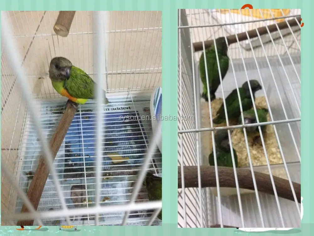 Galvanized Rabbit Cage C Clips Wire C Hog Rings C17 Sc660 Buy C17 Sc660 For Rabbit