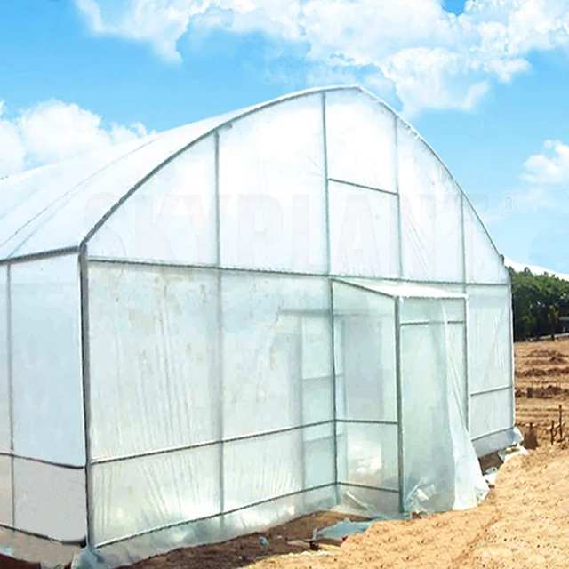 New Design Singlespan Greenhouse For Vegetables,Plastic Greenhouse