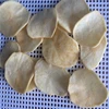 Fried Processing Type vegetable chips- VF Potato