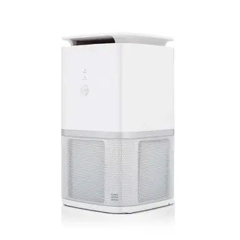Air purifier for smell