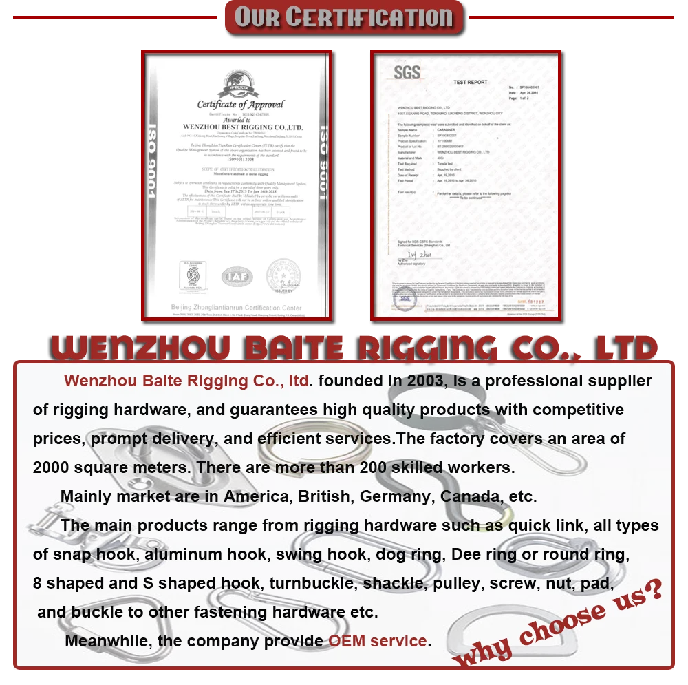 Stainless Steel 316 Snap Hook Outdoor Sport Climbing D Type Snap Hooks With Plate Used With Strap