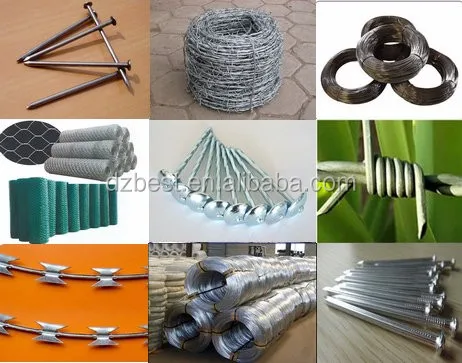 NAIL.jpg