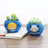 ROOGO Cute Galaxy Constellation Collectible Mini Bowl Planter Plant Box Succulent Cactus Pots Gift Craft