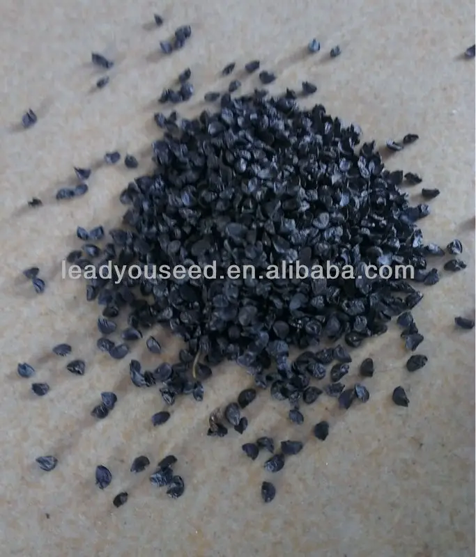 SH01 Liansheng small green onion seeds, op shallot seeds, chives seeds, quality shallot seeds, different types of seeds, lead you seed.jpg