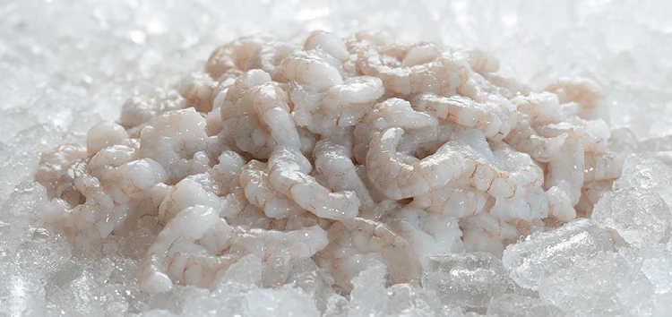 100% net weight 10% 20% glazing best price frozen PUD pink shrimp wholesale