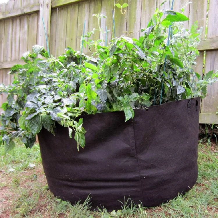 

Skyplant 1-500 Gallon Fabric Garden Grow Bags Grow Pots, Black or white