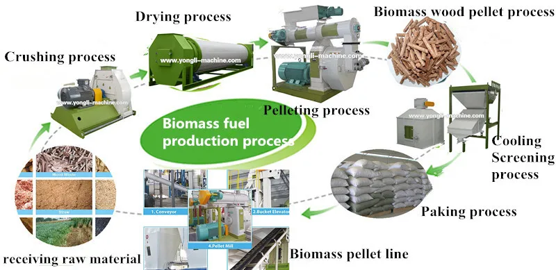 Drying process. Drying process
