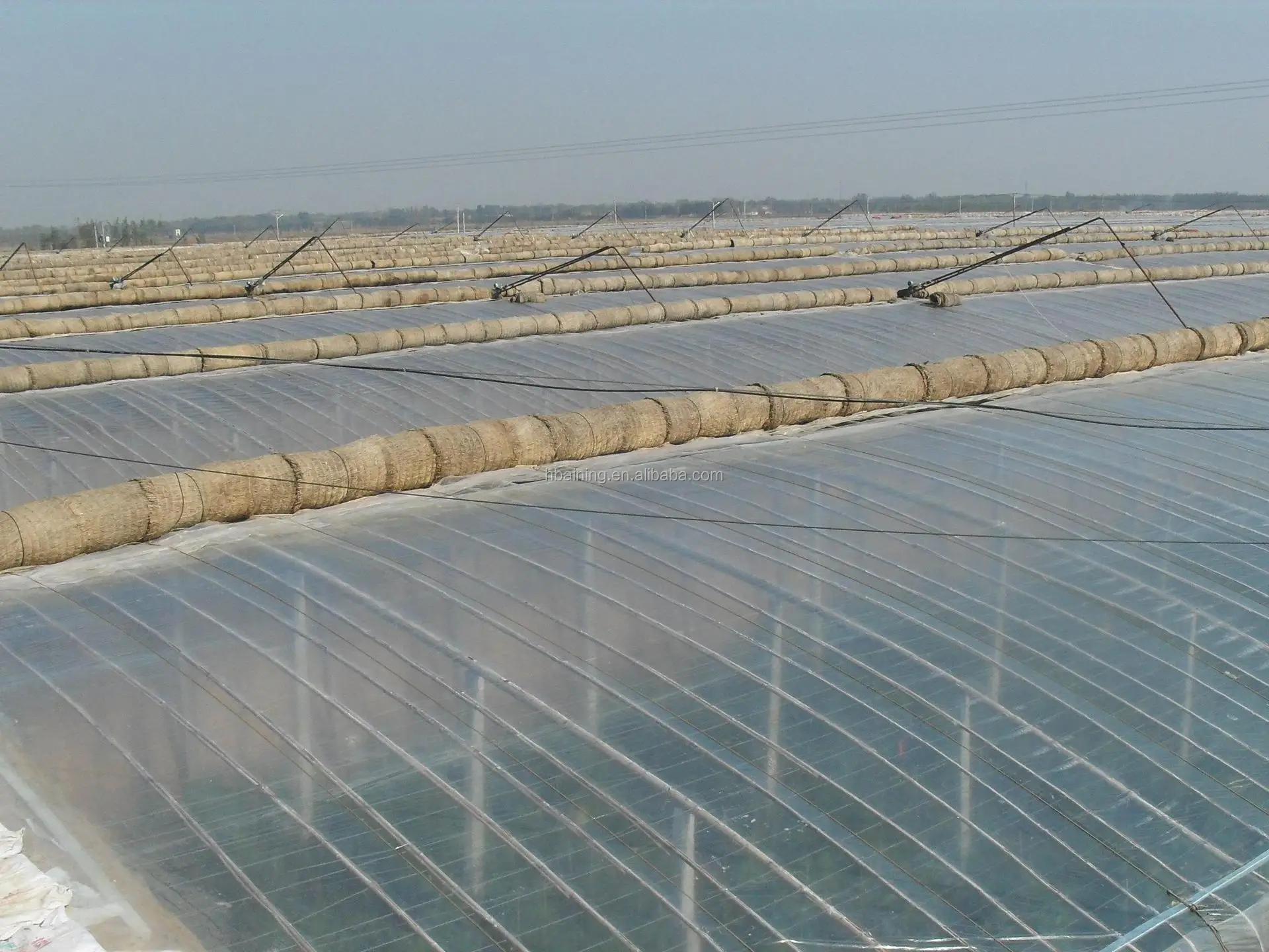 Uv Plastic Sheets Greenhouse Film,Clear Plastic Film For Greenhouse