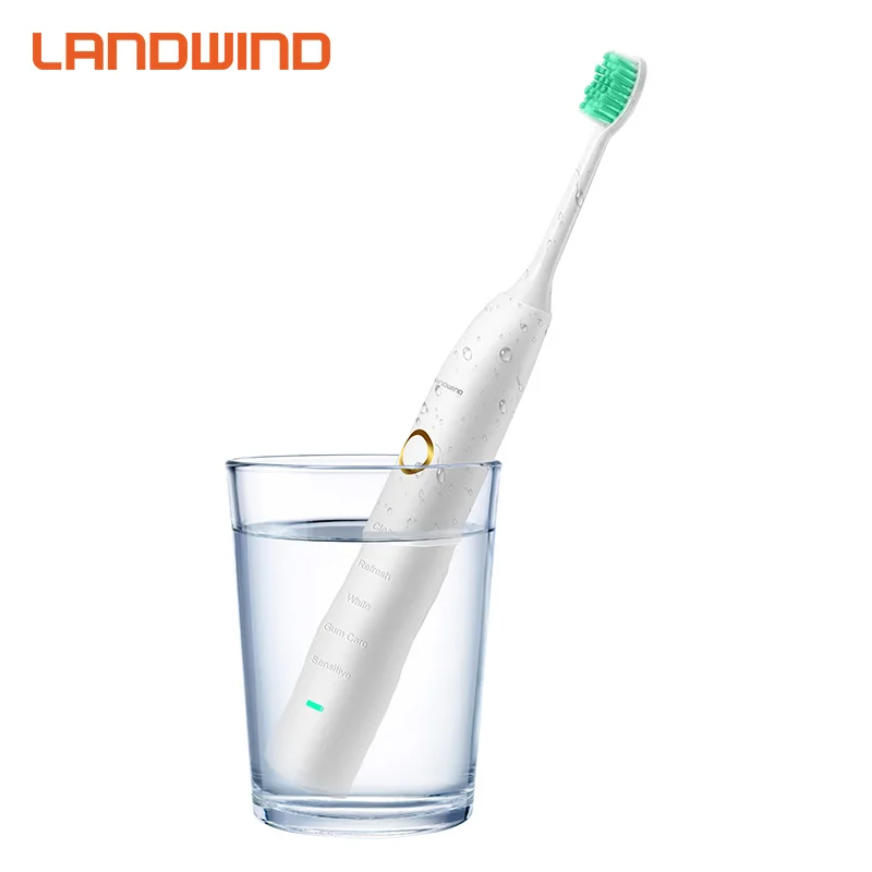 

Newest china Electric Toothbrush, with Case 5 Electric Toothbrushes Replacement Brush Heads for europe market