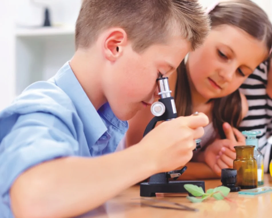 paste-pic-dp_uuid_avxvu