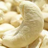 FACTORY SUPPLY CASHEW NUTS/ CASHEW KERNELS WW240/ WW320/ WW450/ WS/ LP/ SP