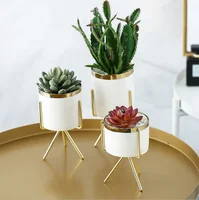 

Ins gold-plated wrought iron flower pot vase Simple iron frame multi-meat flower pot Nordic hydroponic flower pot