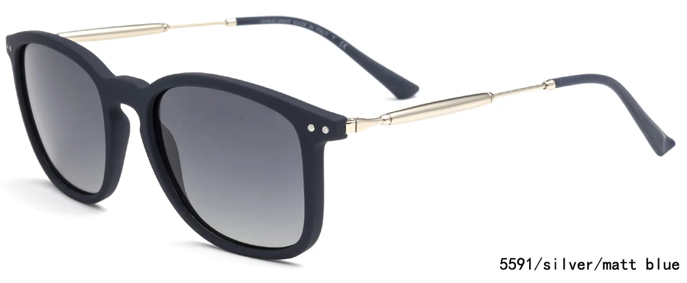 TR sunglasses.jpg