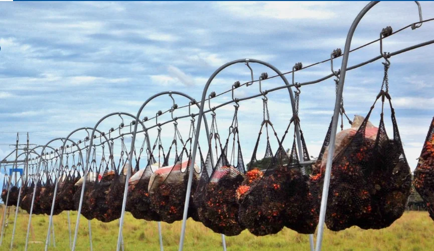 Hardware Hanger Banana Trolley For Cableway System,Banana Transport Tooling Buy Banana