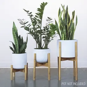 Image of Indoor Decoration Plant Stand