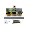 Wholesale Best Christmas gift Kids mini bonsai like flower flower seeds with pot plastic nursery pots kid like gift set