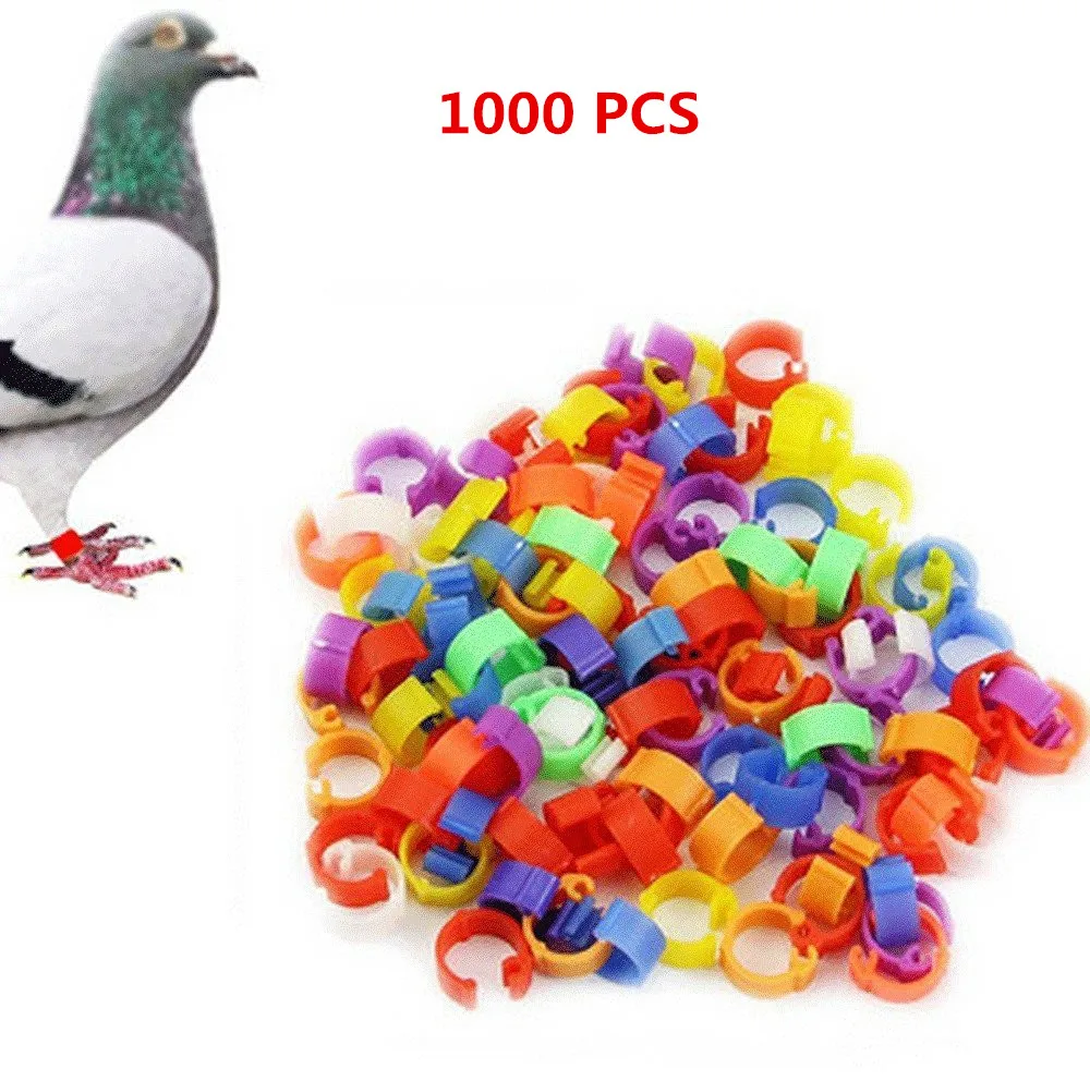 

1000pcs/set Bird Rings Leg Bands for Pigeon Parrot Finch Canary Hatch Poultry Rings, Colorful