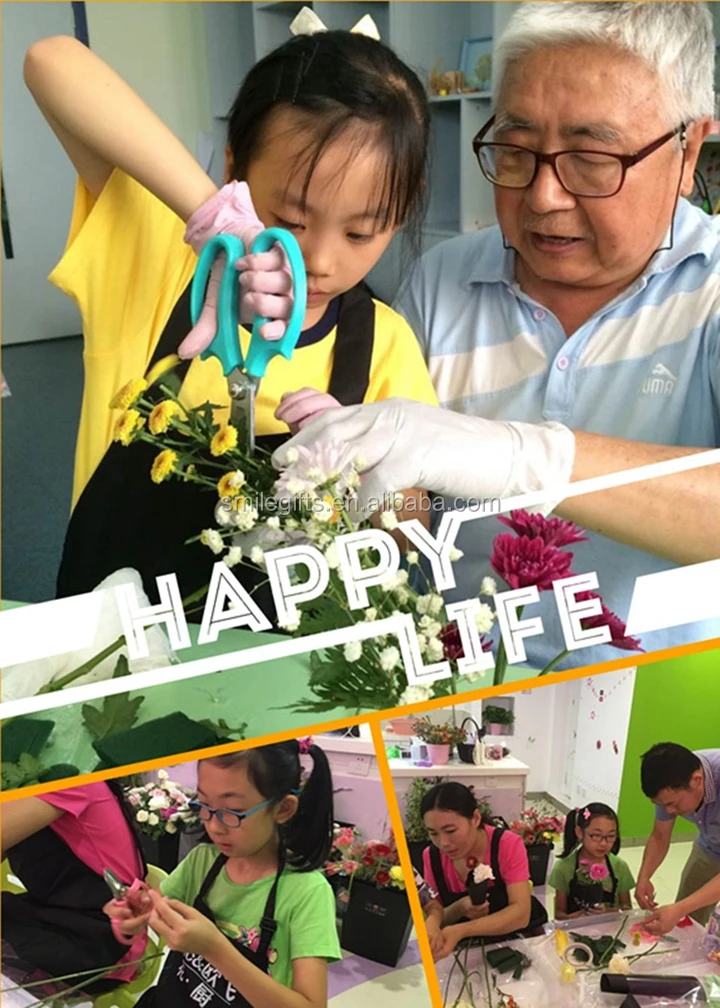 Bonsai Pruning Shears Stainless Steel F 170 Florist Flower Cutting