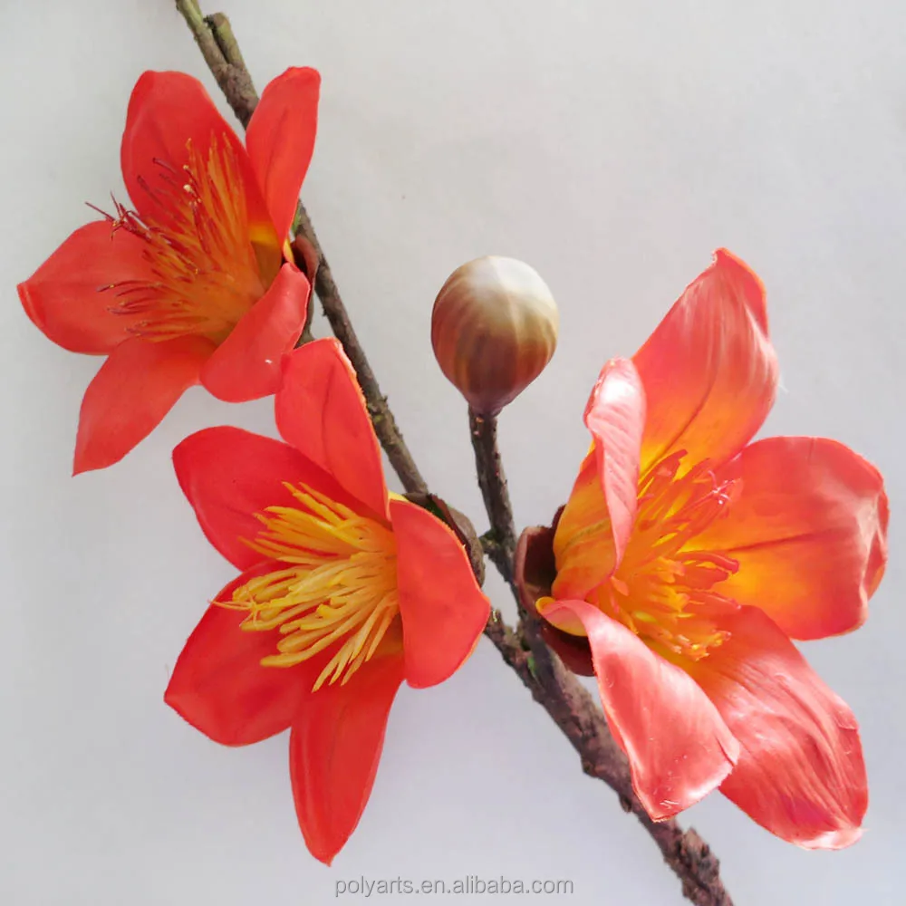 2 color 2 size bombax branch with 5 flowers 4 buds decorative branch flower - Images Of Flowers To Color 2 2 color 2 size bombax branch with 5 flowers 4 buds decorative branch flower - Images Of Flowers To Color 2
