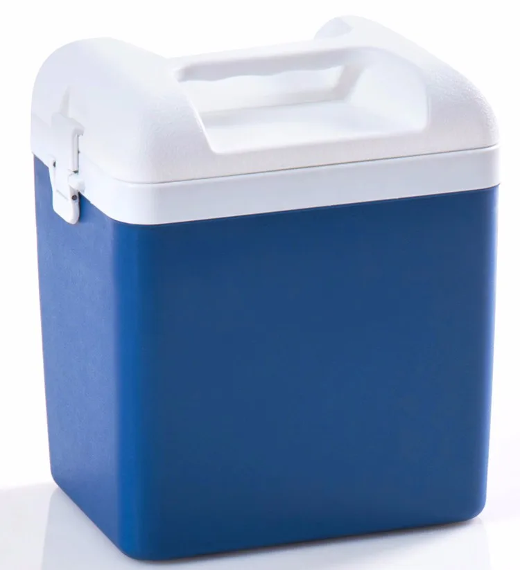 

Heng long 6L new Plastic car use ice cooler for cans storage food camping coolers box for camping, Any pantone color