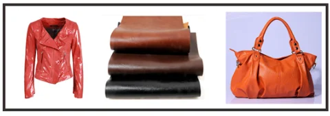 paste-pic-dp_uuid_oyznv