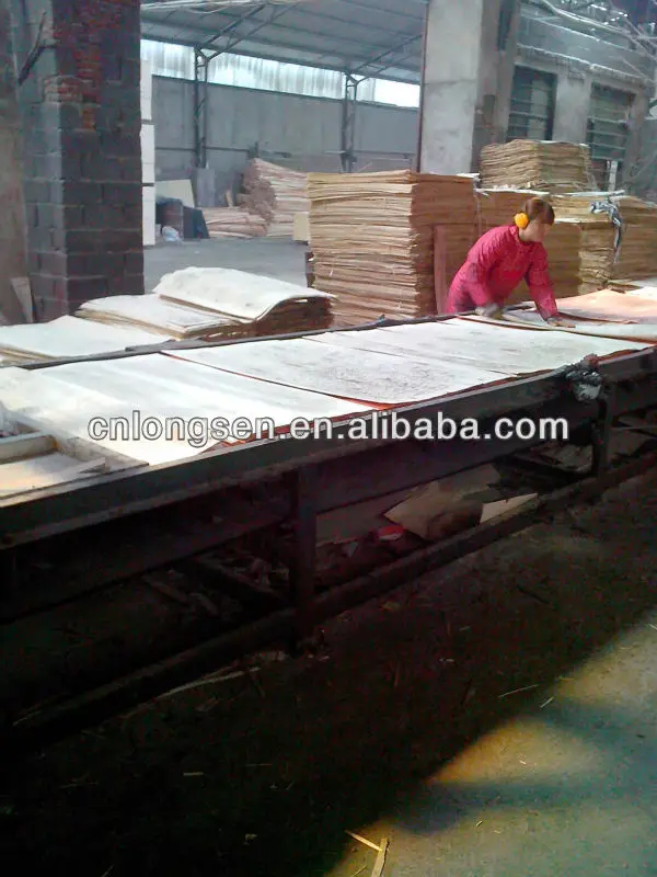 12mm indonesian quality korinplex brand film faced plywood