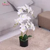 Manufacturer sale different types white orchid flower artificial tree and flower