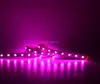 UVB 300nm LED Strip for germicidal uvb 300nm led strip light curing system