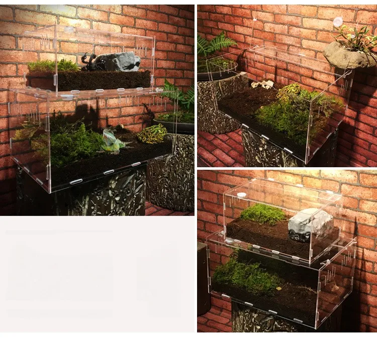 Acrylic Pet Reptile Box Buy Acrylic Display Box For Reptile
