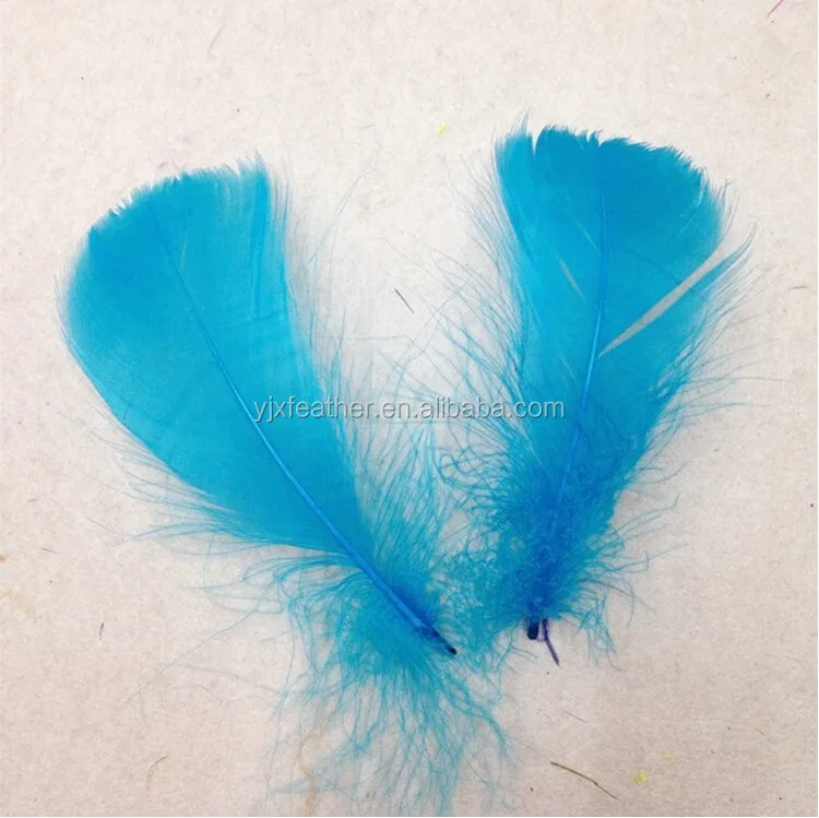 Duck Eiderdown Duck Feather Natural Goose Feather Free Shipping For