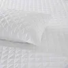 High quality Waterproof 100% cotton terry with TPU Mattress Cover with zipper Bed Bug Proof Breathable Mattress Protector
