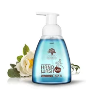 

Manufacturing Process Liquid Hand Wash Natural Anti-Bacterial Handwash