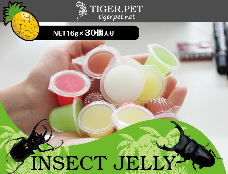OEM and ODM wholesale pineapple flavor reptiles Jelly.jpg