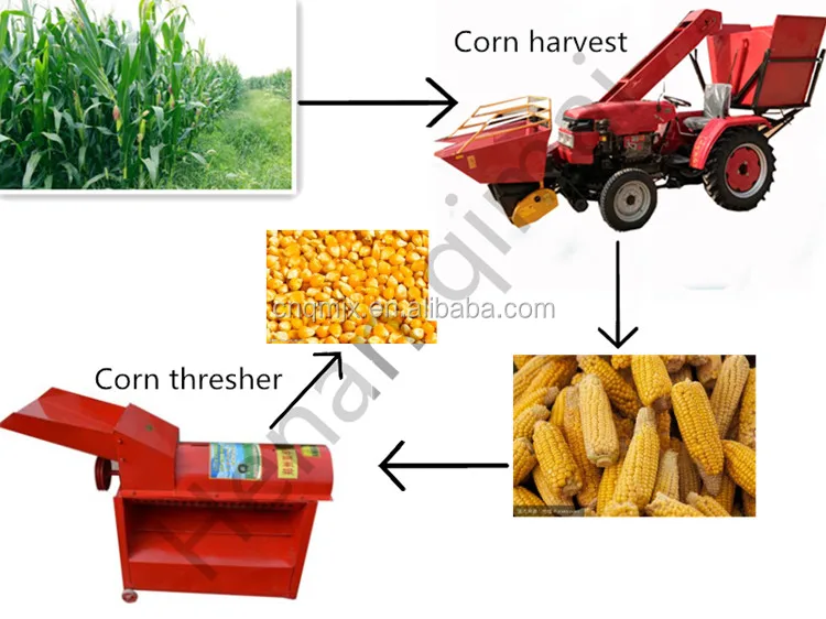 mini corn harvester.jpg