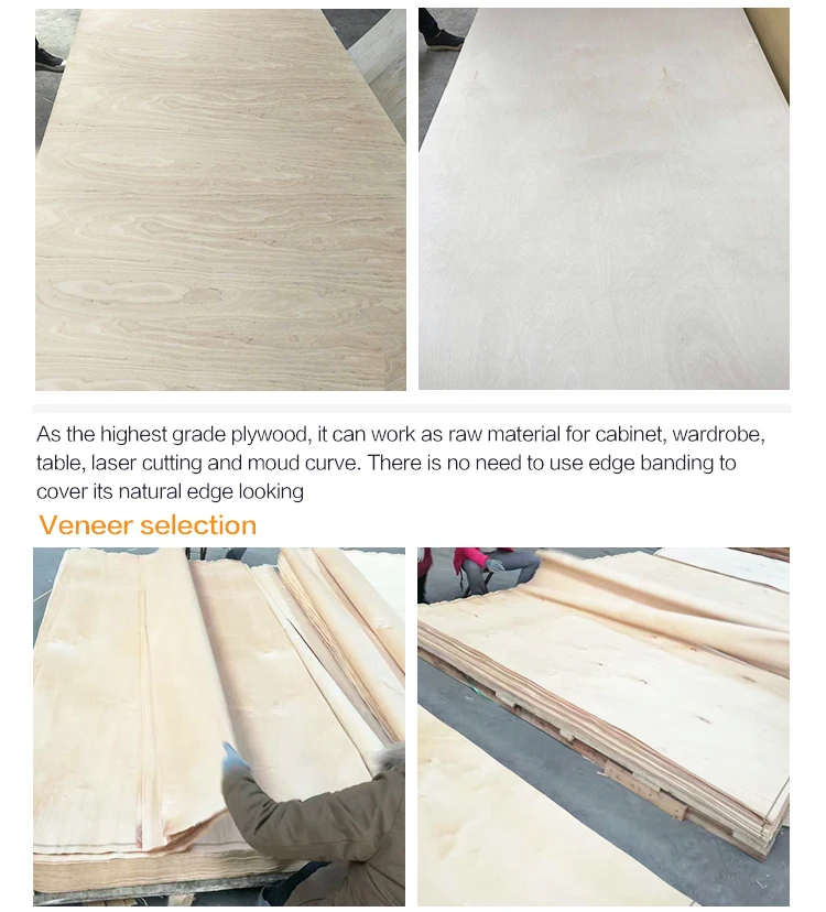 2 5mm E0 Euro Baltic Phenolic Birch Plywood Sheets Panels For