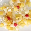 High quality canned fruit cocktail in middle syrup manufacturer