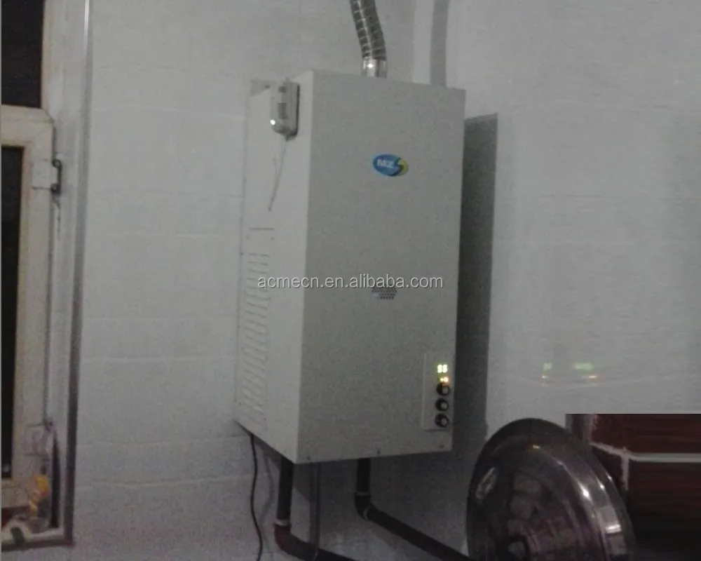 The Low Price Home Use Biogas Gas Water Heater Household Biogas Instant