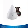 Transactions Haccp Essential Oil Diffuser