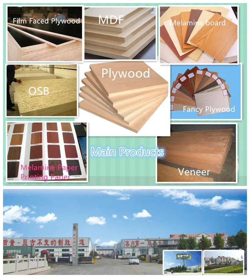 Our Main Products with factory