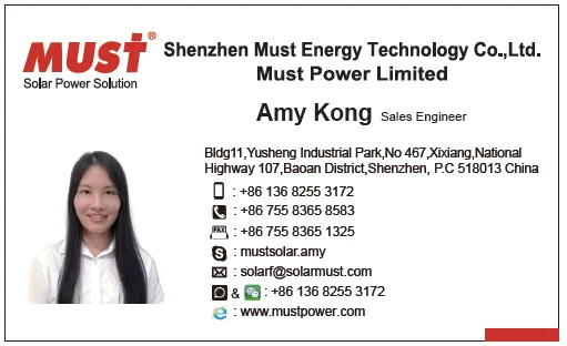 Amy picture 1.png